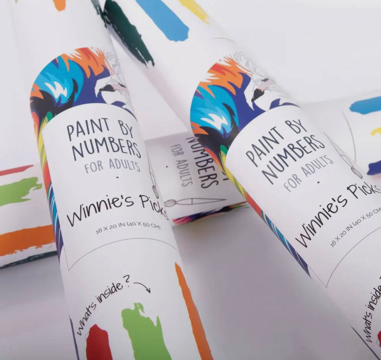 Colorful Giraffe- Paint by Number Kit