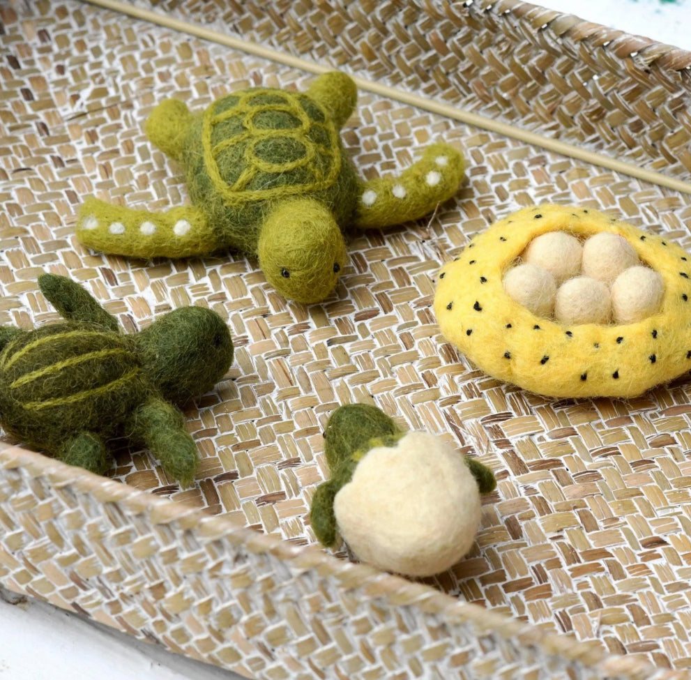 Felt Life Cycle of Sea Turtle