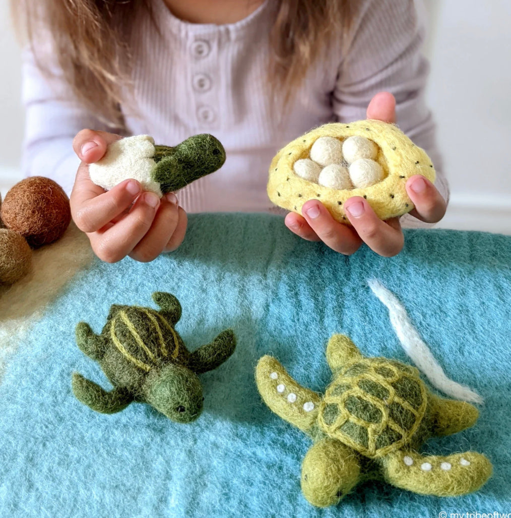 Felt Life Cycle of Sea Turtle